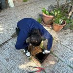 GMB kent genelinde sivrisinekle mücadeleye devam ediyor