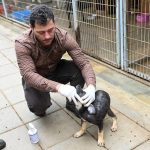 Gönyeli–Alayköy Belediyesi hayvan barınağında 104 canlıya ev sahipliği yapılıyor…