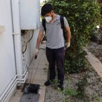 İskele Belediyesi, haşere ve sineklere karşı ilaçlama faaliyetlerine başladı