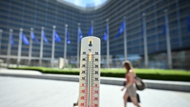 Belçika'da sıcaklık ve fırtına için "turuncu alarm" verildi