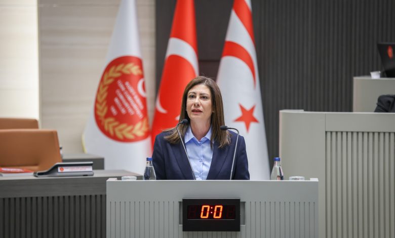 CTP Genel Başkanı İncirli'nin Meclis konuşması...
