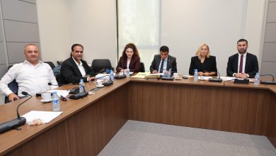 Hukuk, Siyasi İşler, Dışilişkiler ve Savunma Komitesi Yurttaşlık Değişiklik Yasa Tasarısı’nı onayladı