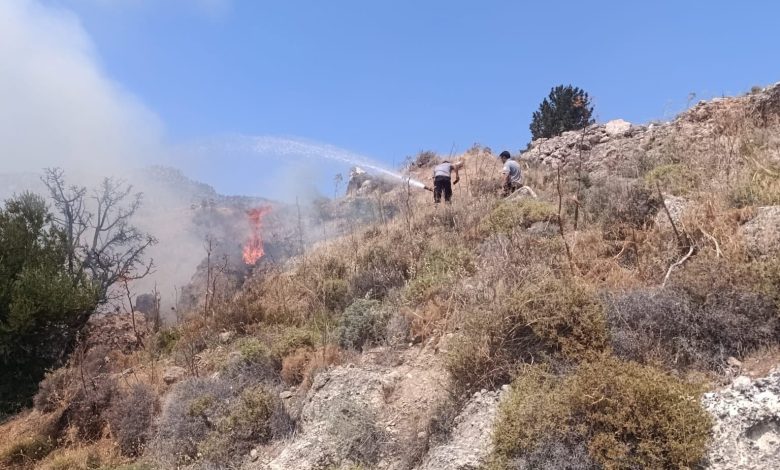 Taşkent’le Güngör arasındaki yangın söndürüldü