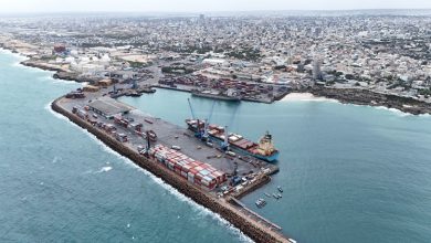 Türkiye'den Somali'ye ilk kez doğrudan bir kargo gemisi ulaştı