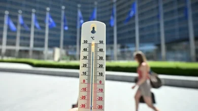 Belçika'da haziranın sonundaki sıcak hava dalgasında Avrupa'daki "en yüksek aşırı ölüm oranı" kaydedildi