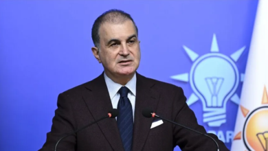 Çelik: AB’nin Kıbrıs’a özel temsilci atayarak çözeceği herhangi bir sorun yoktur