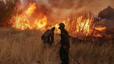 Çöl sıcaklarının etkili olduğu Yunanistan orman yangınlarıyla mücadele ediyor