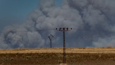 DSÖ: "Avrupa'da orman yangınları dört yılda yüzde 57 arttı"