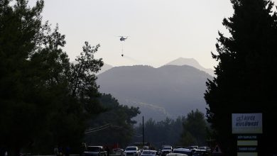 Fethiye'de orman yangını çıktı