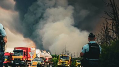 Fransa ve İspanya'da orman yangınlarında 220 binden fazla kişiye tahliye