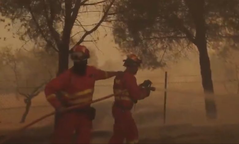 İspanya'nın Madrid ve Avila kentlerinde orman yangınları nedeniyle yaklaşık 60 bin kişi tahliye edildi