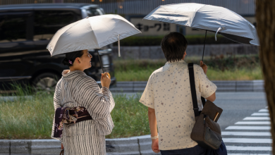 Japonya'da ilk kez aşırı sıcaklar nedeniyle "kokushobi" uyarısı yapıldı
