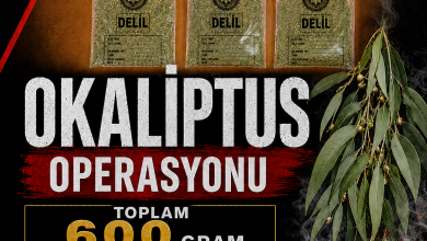 Lefkoşa’da Okaliptus Operasyonu… Uyuşturucu tasarrufundan 3 tutuklu
