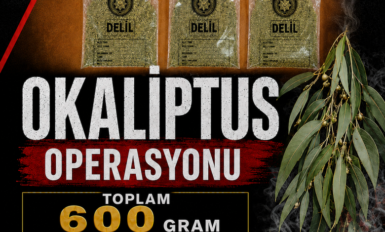Lefkoşa’da Okaliptus Operasyonu… Uyuşturucu tasarrufundan 3 tutuklu