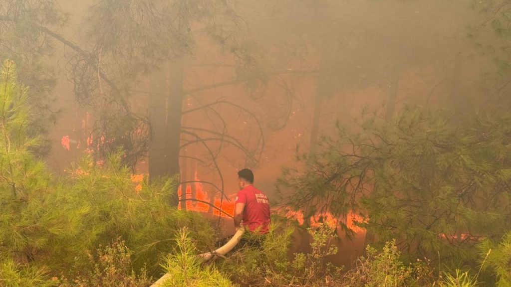 Muğla'da orman yangını: 600'ün üzerinde kişi tahliye edildi