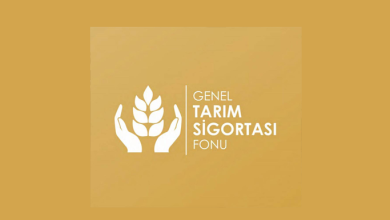 Narenciye dolu zararları ödendi