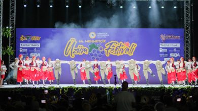 64. Geleneksel Mehmetçik Üzüm Festivali başladı