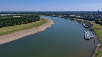 Almanya'da Ren, Elbe ve Tuna nehirlerinde su seviyesi kritik düzeye geriledi