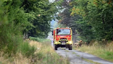 Belçika'daki büyük orman yangını nedeniyle meclis komisyonu olağanüstü toplandı