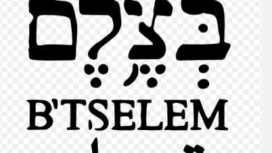 B'Tselem: Filistin topraklarını gasbeden İsraillilerin saldırıları Batı Şeria'da etnik temizliği hızlandırıyor
