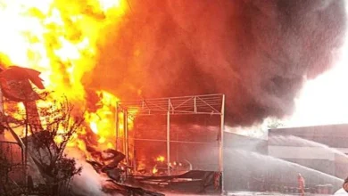 Bulgaristan'da askeri fabrikanın mühimmat deposunda yangın çıktı