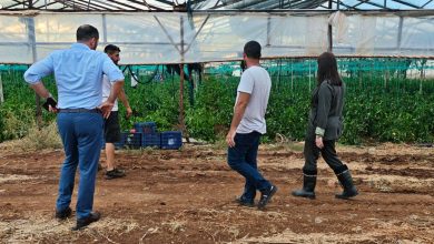 CTP heyeti, sel ve doludan etkilenen Lefke ve Güzelyurt’u ziyaret etti