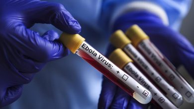 DSÖ Uganda'daki Ebola salgınının sona erdiğini doğruladı