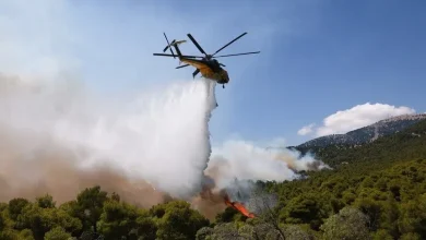 Endonezya'da orman yangınlarına müdahale için 43 helikopter görevlendirildi