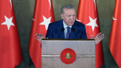 Erdoğan: Terörsüz Türkiye sürecimiz güven tazelemiş, çok ciddi güç kazanmıştır