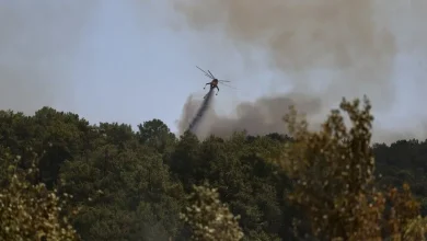 Fethiye'de çıkan orman yangınına müdahale ediliyor