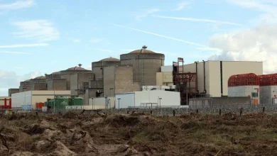 Fransa'da denizanası sürüsü nedeniyle 3 nükleer reaktörün faaliyetleri durduruldu
