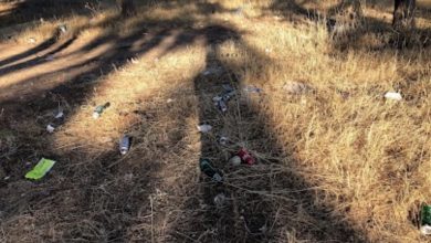 Gönüllüler, Salamis Sulak Alanı’nda cumartesi günü temizlik yapacak