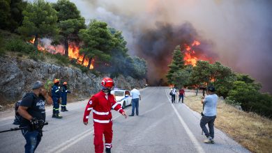 Halkidiki'de çıkan yangında yaklaşık 4 bin dönüm ormanlık alan zarar gördü