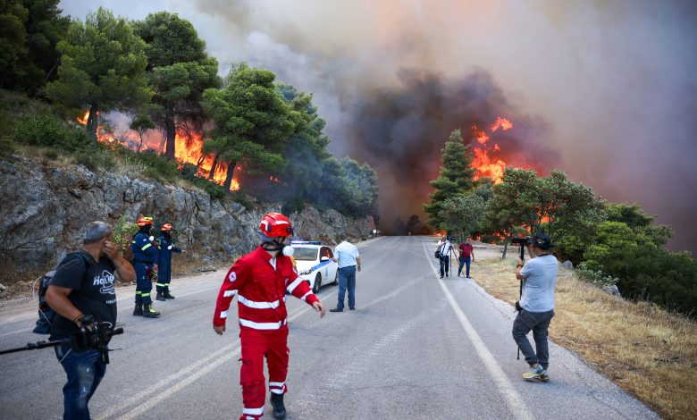 Halkidiki'de çıkan yangında yaklaşık 4 bin dönüm ormanlık alan zarar gördü