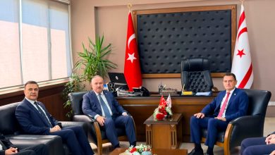 İçişleri Bakanı Oğuz, TC Emniyet Genel Müdürü Ali Fidan’ı kabul etti