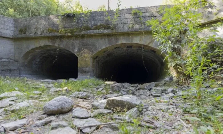 İngiltere ve Galler kayıtlardaki en kurak temmuz ayını yaşadı
