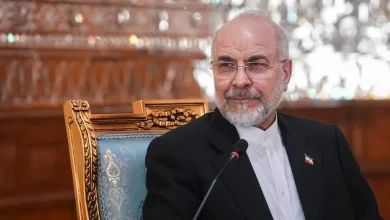 İran Meclis Başkanı'ndan "komşu ülkelerden, yeni güvenlik ve ekonomik işbirliği mesajları aldık" açıklaması