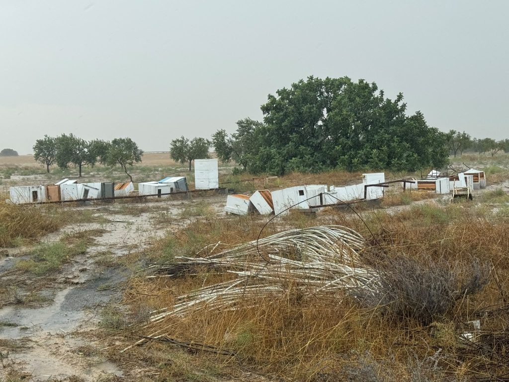 İskele Kaymakamı dünkü fırtınanın esas olarak Altınova'da etkili olduğunu söyledi