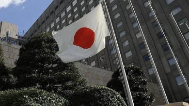 Japonya'da, 15 günlük turist vizesiyle gelip 33 yıl kalan Güney Koreli gözaltına alındı