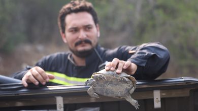 Kaş ve Kumluca’da yangınlarla mücadele sürüyor