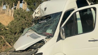 Minibüs ağaca çarptı, sürücü ve yolcular yaralandı