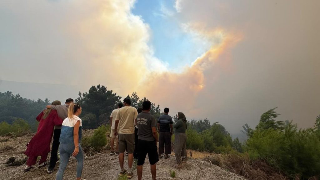 Muğla'da orman yangını: 600'ün üzerinde kişi tahliye edildi