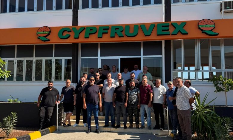 Narenciye Kesim Ekipleri Birliği ödeme talep etti