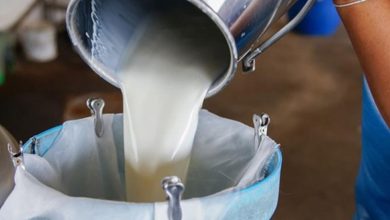 Süt bedelleri ödendi… Üreticilere 210 milyon 943 bin 127 TL ödeme yapıldı