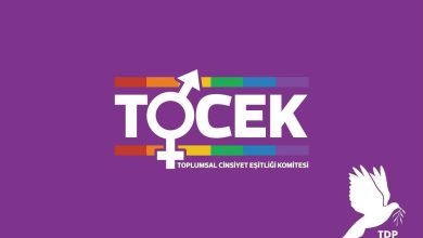 TDP TOCEK: “Kadına yönelik şiddetin önlenmesi devletin en temel sorumluluklarından biri”