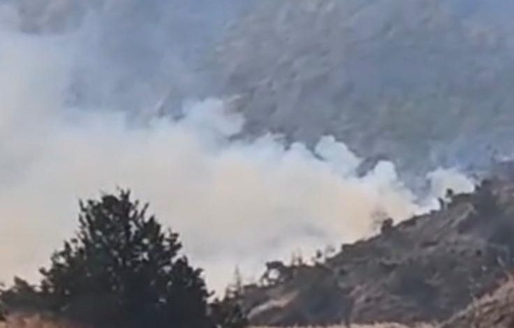 Tirmen’deki yangın kontrol altına alındı