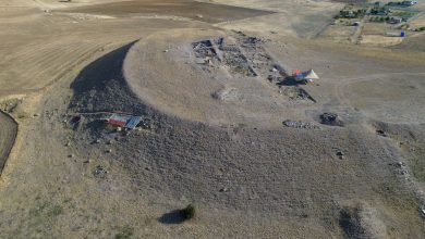 Ankara'da 66 milyon yıllık fosil bulundu