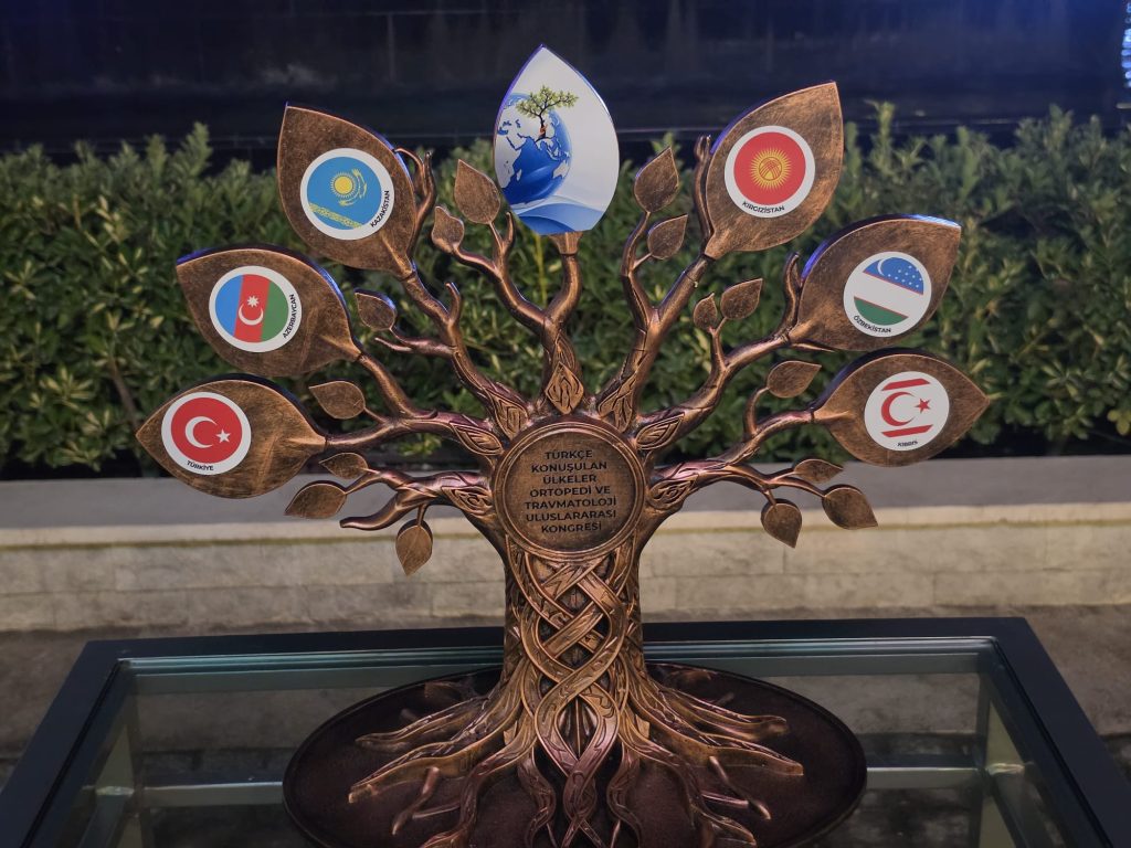 Bakü'deki Ortopedi ve Travmatoloji Uluslararası Kongresi'ne çok sayıda Kıbrıslı Türk hekim de katıldı