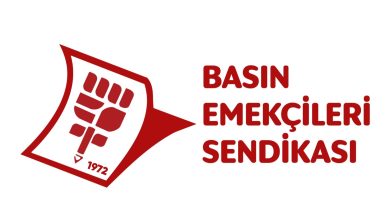 Basın-Sen: Devletin görevi, kadınları öldürülmeden önce korumaktır