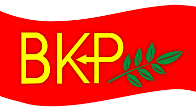 BKP’den 1 Eylül Dünya Barış Günü mesajı